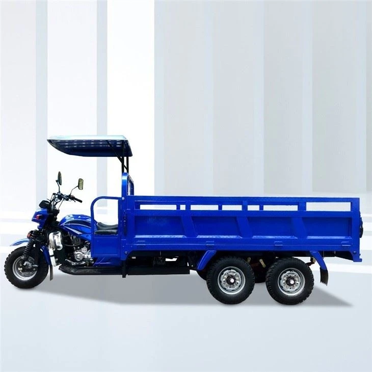 1000KG Load Double Rear Wheel Tricycle