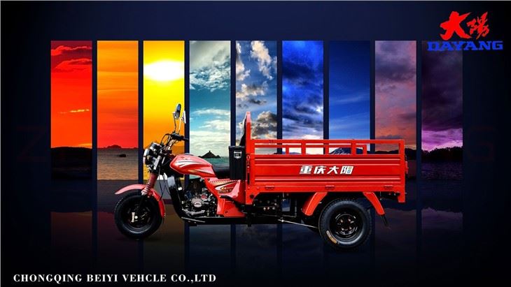 3 Wheel Cargo Motorcycle 150CC load