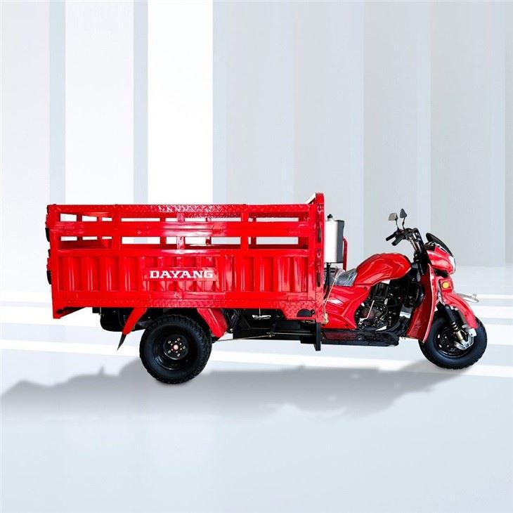 250cc Three Wheel Motor Trike Hydraulic