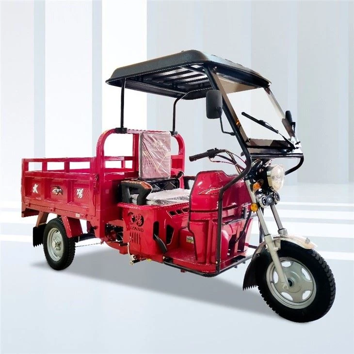 110cc Three Wheeler Cargo Motorcycle