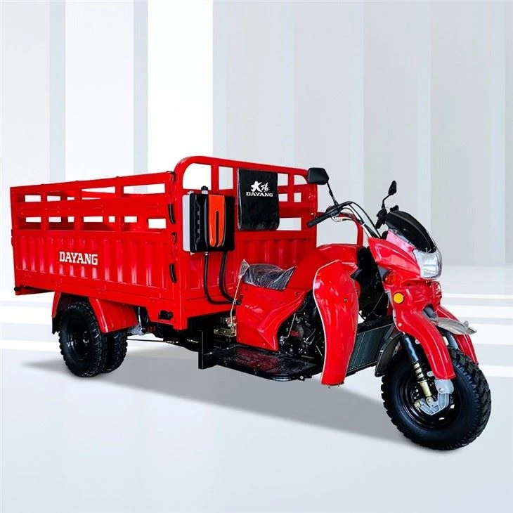 300cc Tiga Roda Motor Trike Hidraulik