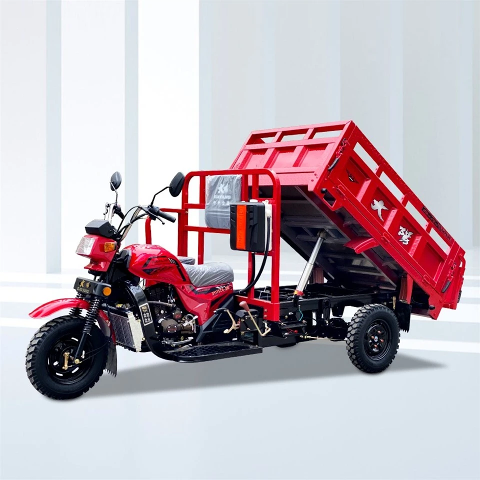 Motosikal Beca Petrol Untuk Kargo