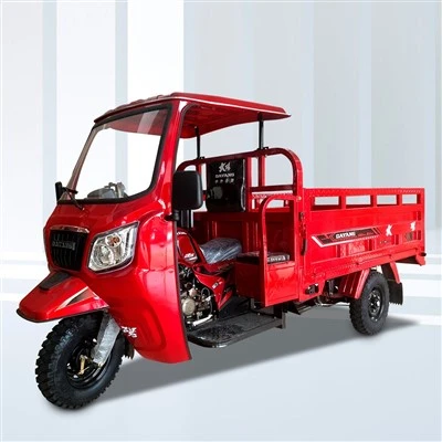 250cc 300cc 350cc Petrol Petrol Tricar Motorizado De Cargo