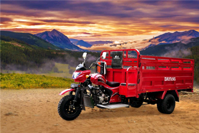 Dayang Hot Selling Truck Dayang Tricycle 3 Roda Model Motosikal Di Peru Dengan 200cc/250cc/300cc