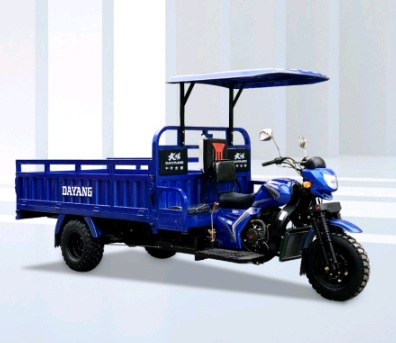 DY200ZH-10 Motosikal Tiga Roda