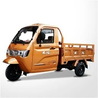 Motosikal Tiga Roda Kargo Tiga Roda300cc
